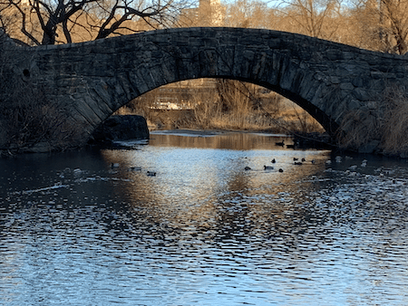 Bridge to the Future