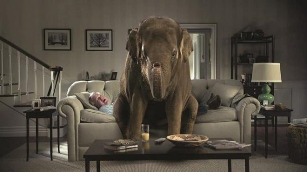 Elephant in the Room