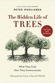 The Hidden Life of Trees