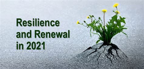 Greater Resilience