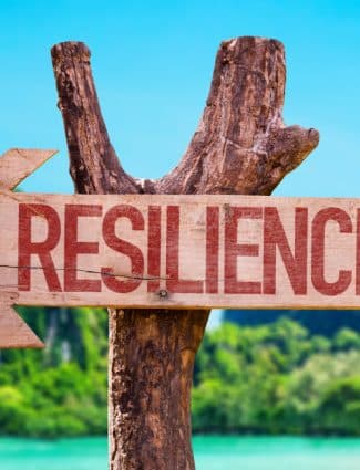 In Resilience My Hidden Power?