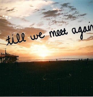 Until We Meet Again