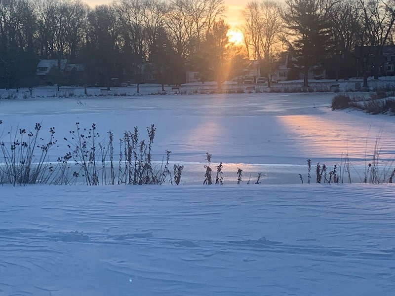 Return of Five O'Clock Shadows