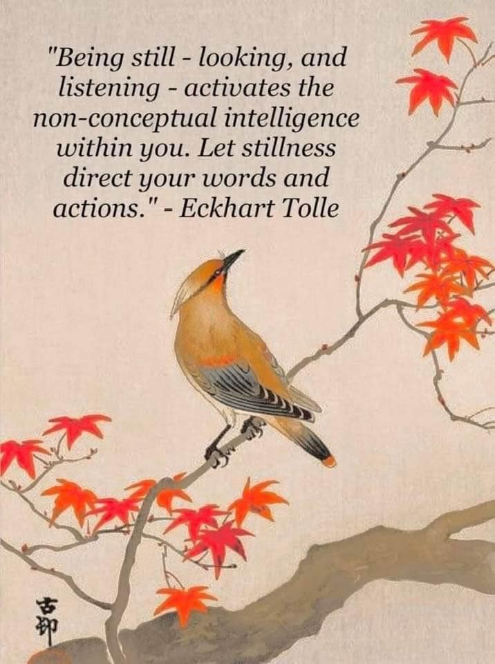 Let Stillness Direct My Words and Actions