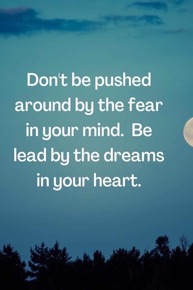 I'm a Dreamer in Love With Jan!