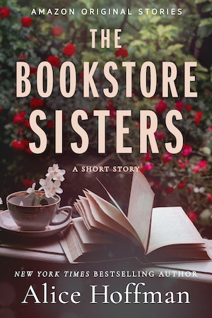 The Bookstore Sisters: A Short Story