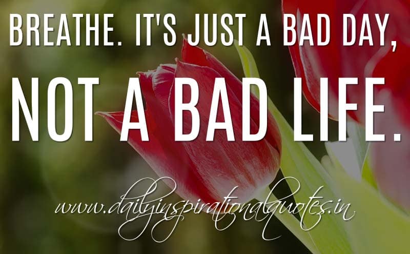 Life is Good Despite a Few Bad Days