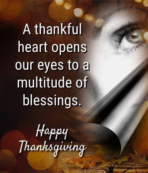 Gratitude for All of Life's Blessings