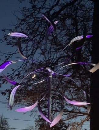 A Crescent Moon Behind Jan's Wind Sculpture