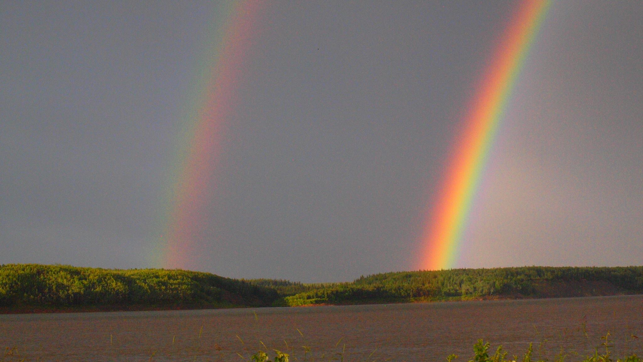 Being Your Own Rainbow in a Grey World