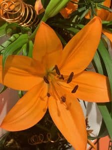 Florastruck in Philly!