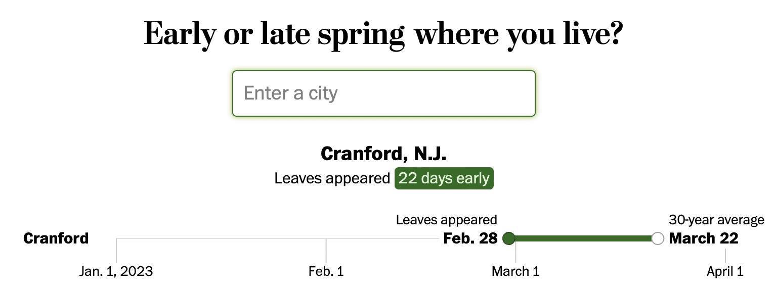 Spring Has Sprung Earlier Than Ever! - Sharing Jan’s Love