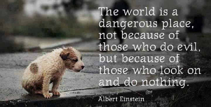 Opening Our Eyes and Taking Action