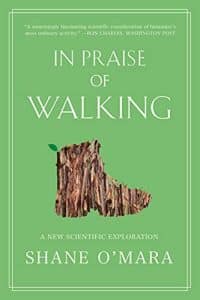 In Praise of Walking