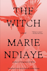 The Witch: A Novel